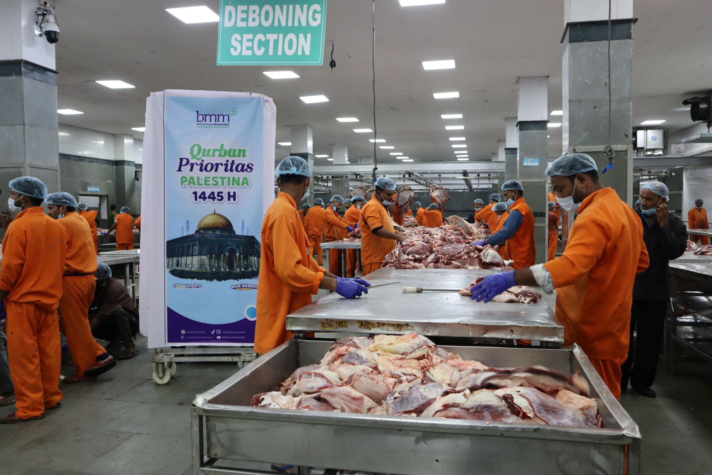 Qurban 1 Ekor Sapi Palestina