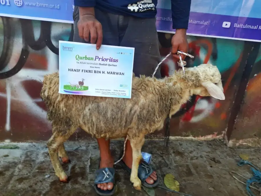 Qurban 1 Ekor Domba/Kambing Rendang Kaleng Standar 30 Kaleng