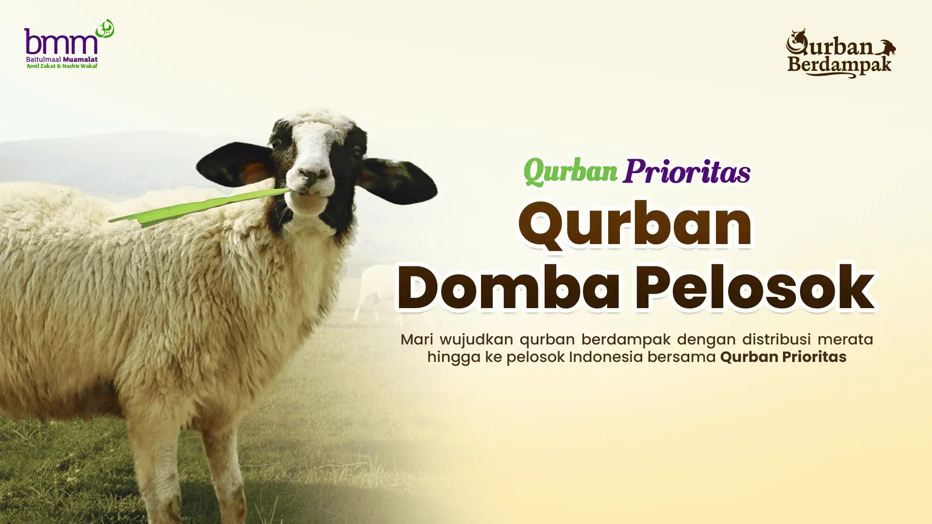 Qurban Domba Pelosok 1447H
