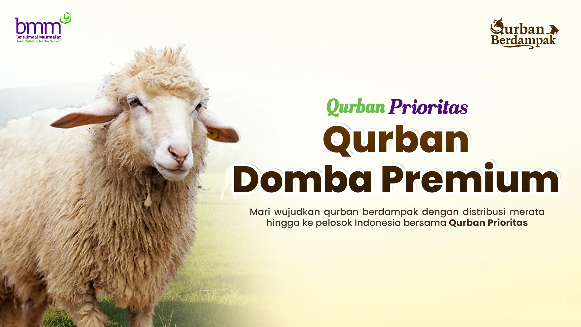 Qurban Domba Premium 1447H