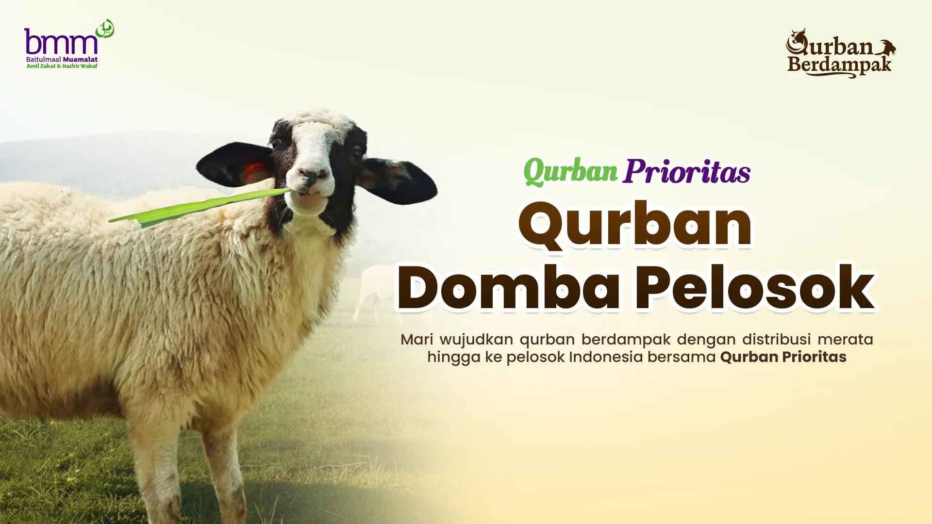 Qurban Domba Pelosok 1447H