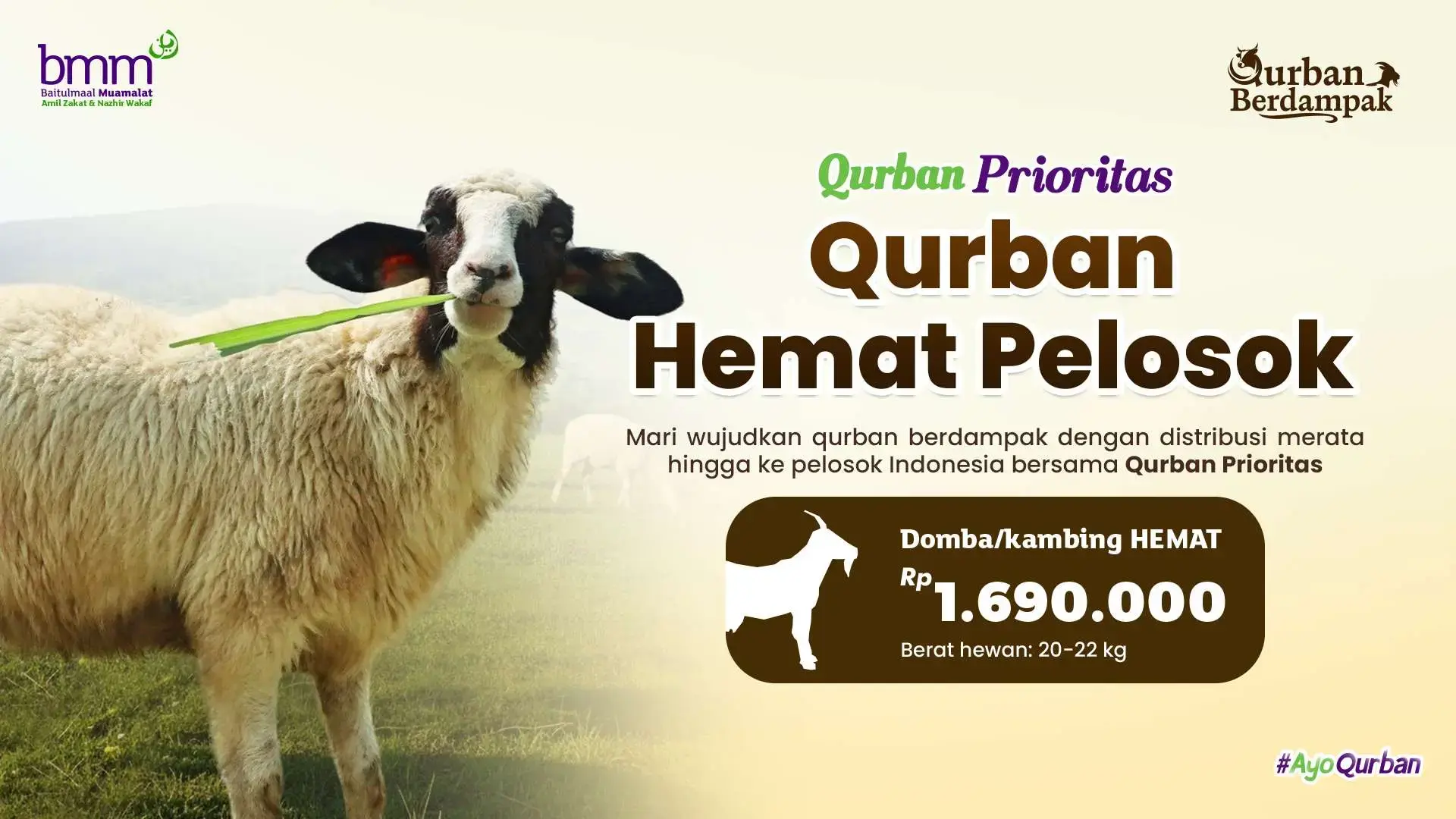Qurban Domba Hemat 20 - 22 Kg