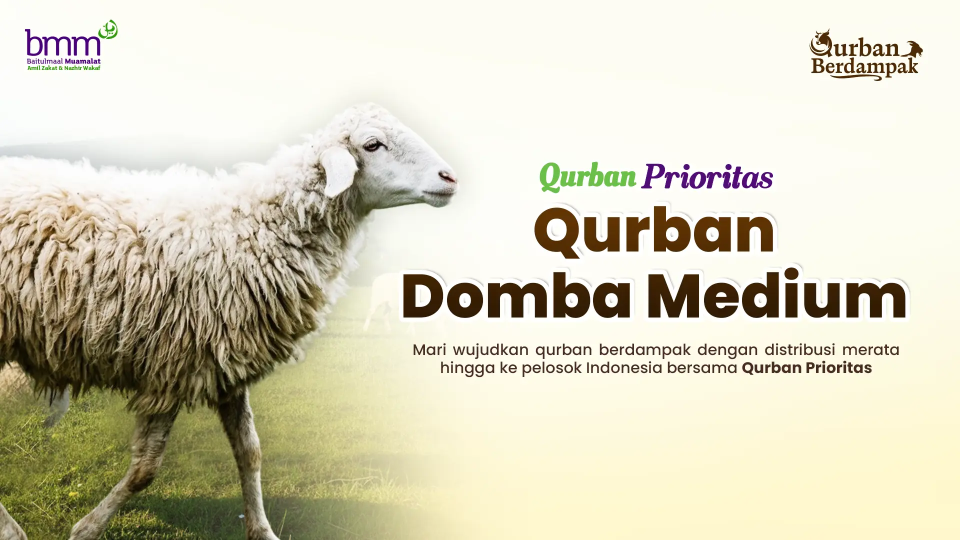 Qurban Domba Medium 1447H