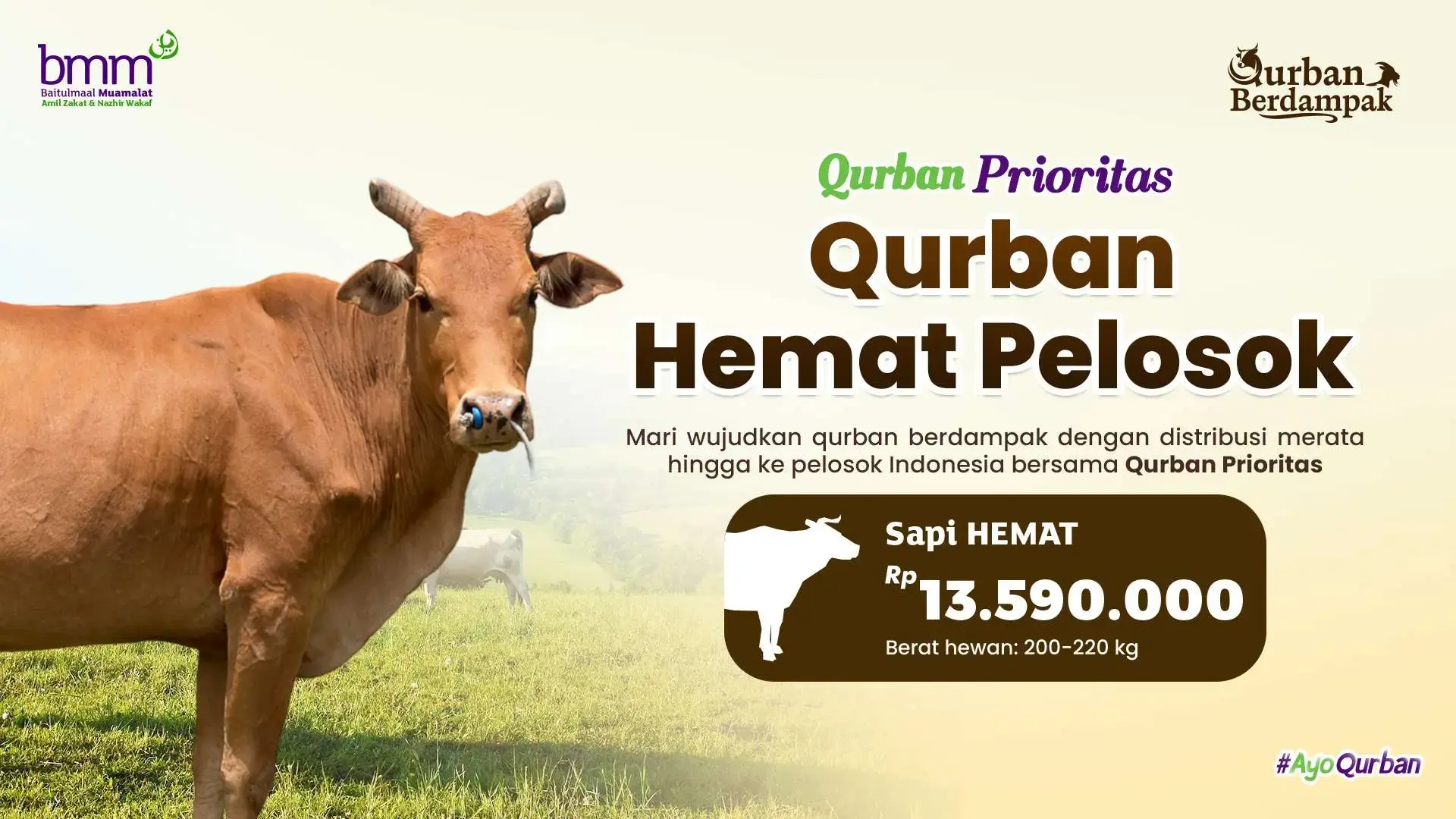 Qurban 1 Ekor Sapi Hemat 200 - 220 Kg