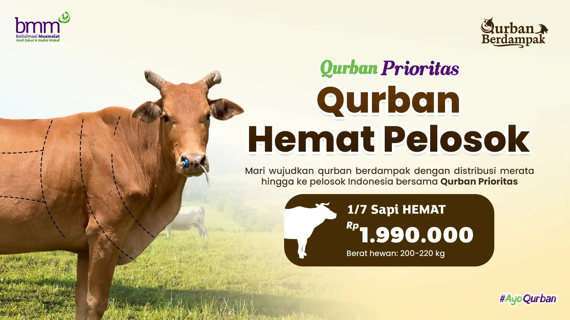 Qurban 1/7 Sapi Hemat 200 - 220 Kg